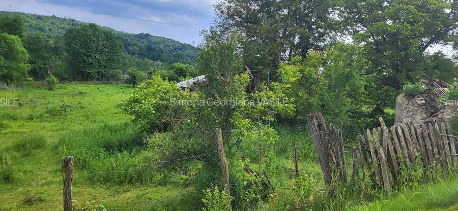 Vand 2.582 mp teren intravilan in Bughea de Jos, Argeș - 4