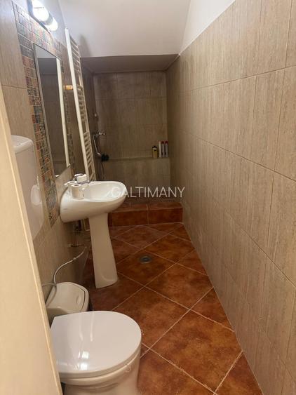 4 camere, tip duplex, curte proprie, terasa, 5 min de Herastrau,  ideal atata pe - 8