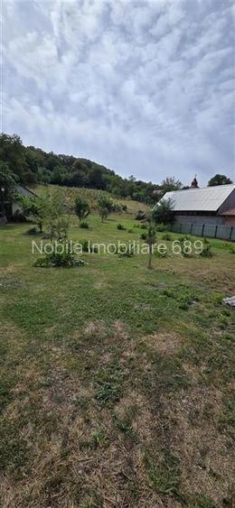 Teren intravilan + extravilan 10.537 mp – casa, livada sau ferma de familie - 13