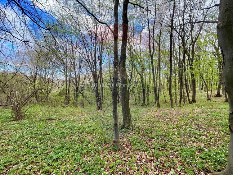 Teren cu suprafata de 10.000 mp I Faget - 2