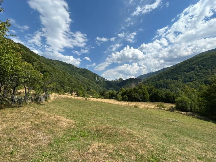 Teren Montan 6.572 mp Jieț (Petrila , Județul Hunedoara) - 10