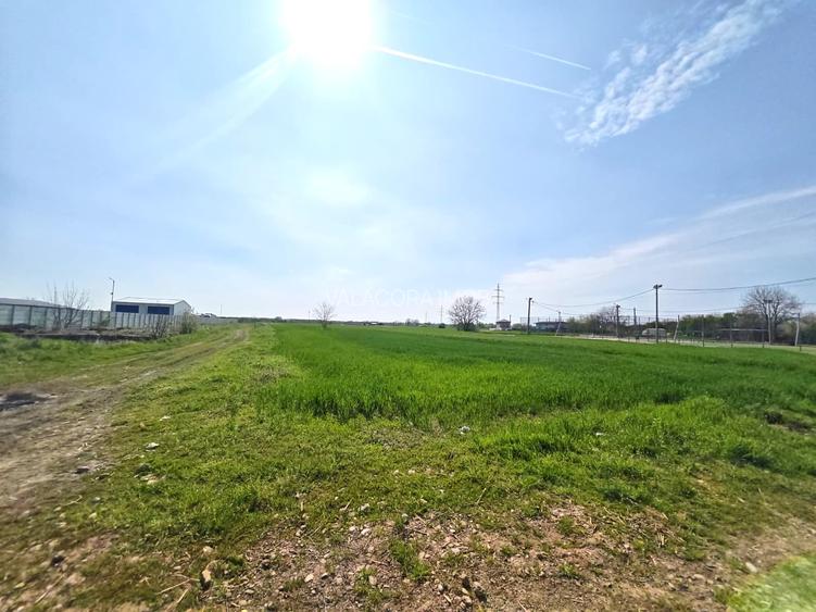 Teren intravilan | Dragomiresti Vale | Sat Zurbaua IF | INVESTITIE - 7