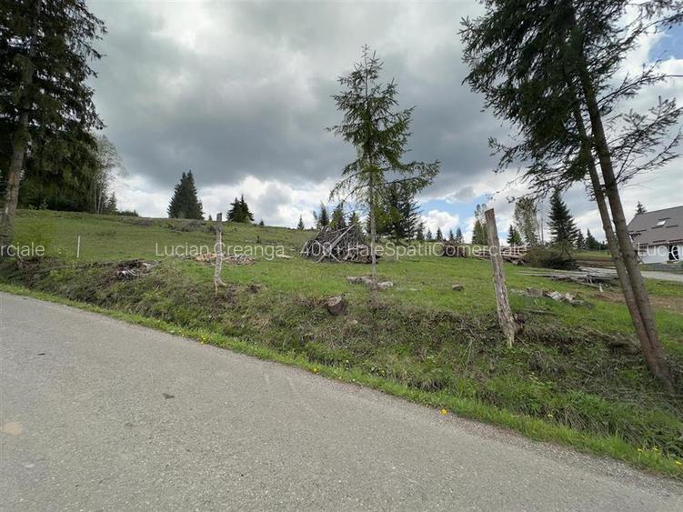Teren la asfalt si priveliste frumoasa, 1000mp, Neagra Sarului - 3