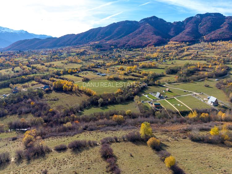 Teren intravilan 5723mp Zarnesti Tohanita- case de vacanta,investitie in turism - 13