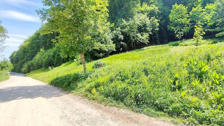 Teren Intravilan - 5