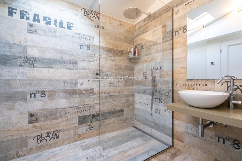 Historical villa Gradina Icoanei area - 43