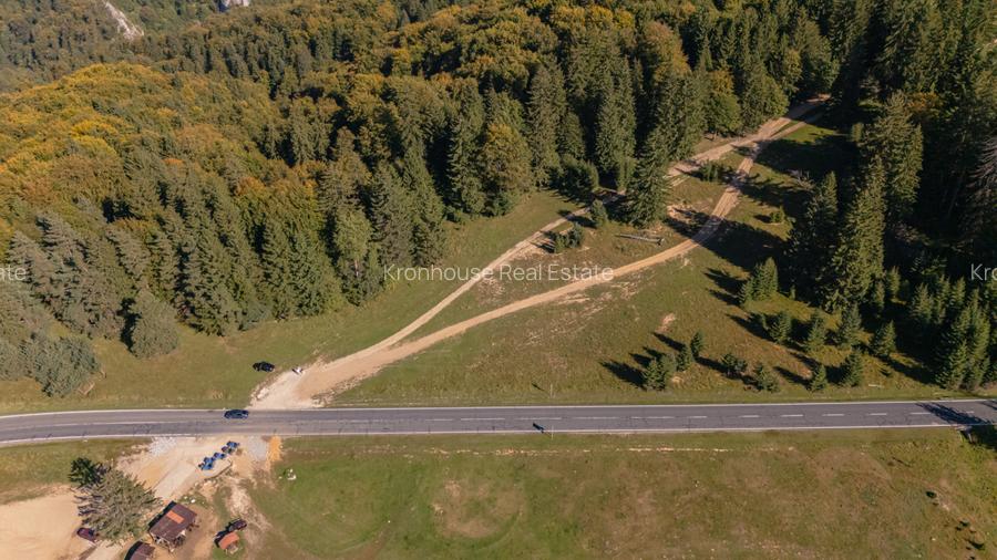 Teren premium pentru dezvoltare de lux – Drumul Poienii, Brasov - 8