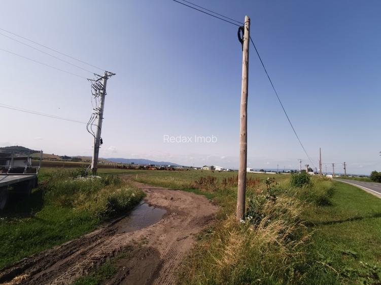 Teren intravilan industrial pentru constructie hale Codlea - 8