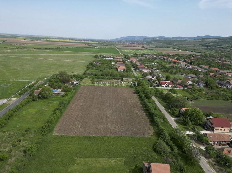 Teren Intravilan de 3,090 mp în Cuvin - 6