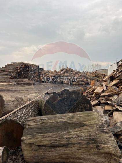 Spatiu industrial de 7,756mp de vanzare - 33