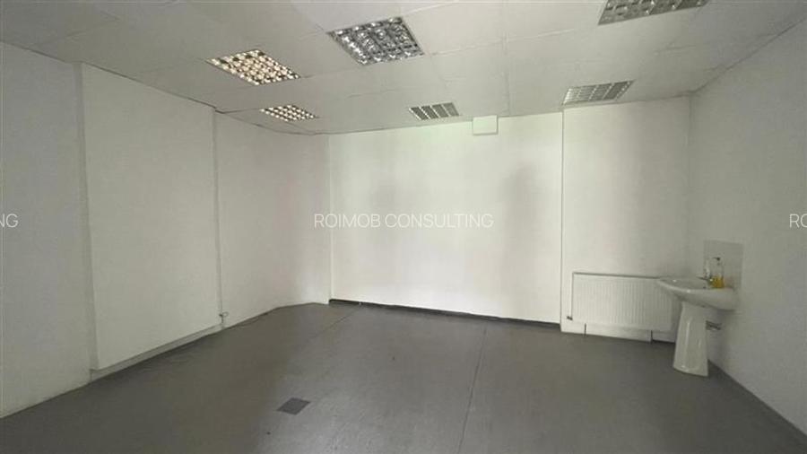 Ion Mihalache, vila 2005, 370 mp utili, curte libera 230 mp - 9