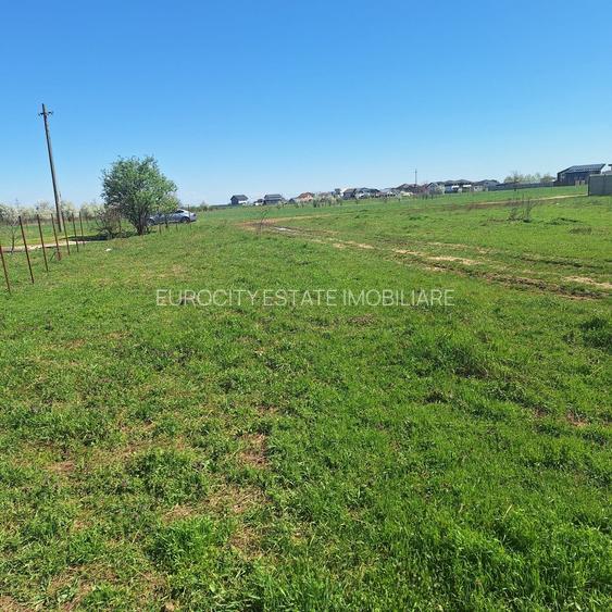 Dragomiresti- Vale, str Nucilor, teren intravilan 2.262mp. - 5
