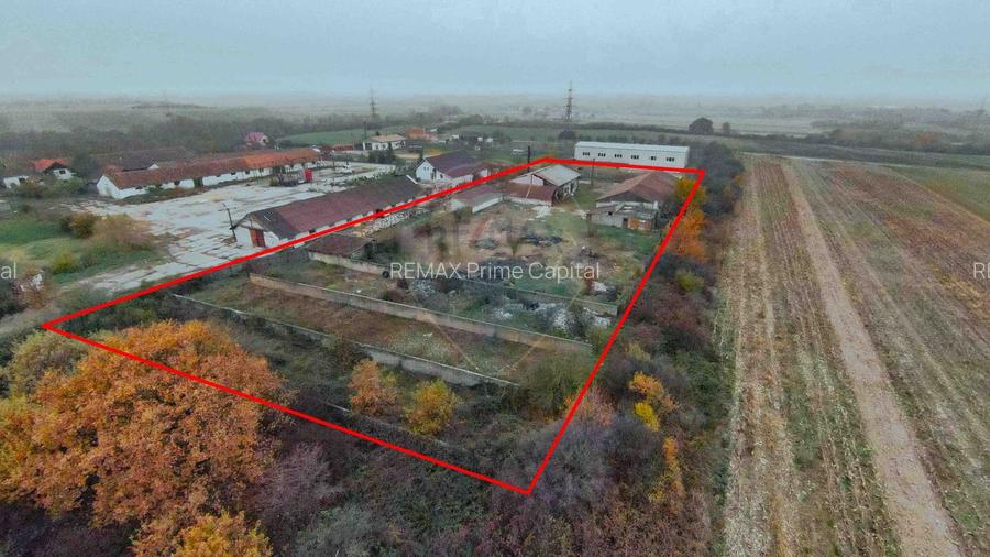 Teren 7500mp și construcții de vânzare, Tilecuș - 8