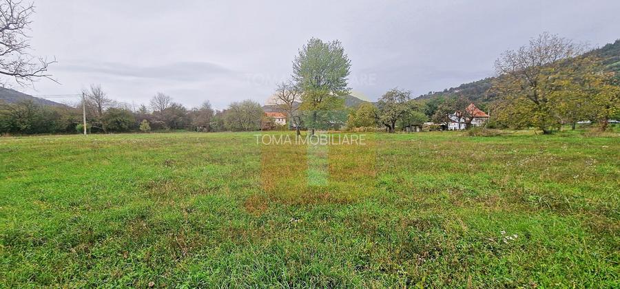 Teren intravilan de vânzare – 1.350 mp – Comuna Alexandru cel Bun - 8