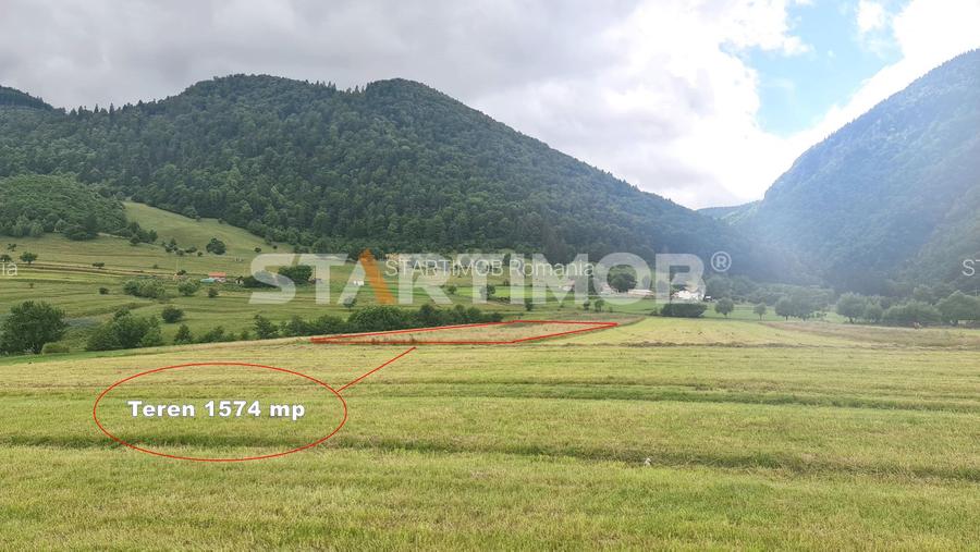 Teren intravilan Zarnesti - 7