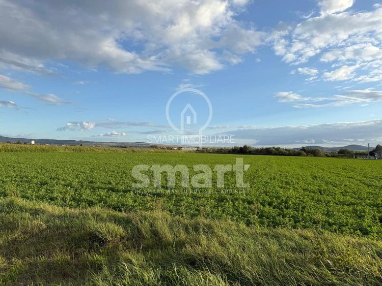 Teren Bistrita Valea Jelnei 19 eur mp - 5