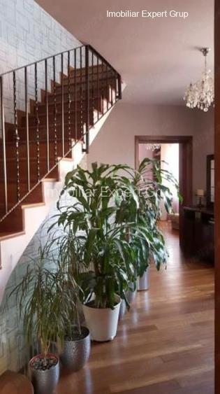 Ideal firma:Matei Voievod-Parcul Ronda - 4