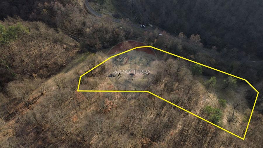 Poiană pentru cabana de vanzare intravilan Coas - 2