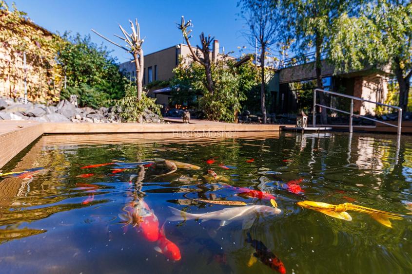 De inchiriat &acirc; Proprietate Exclusivistă - Comision 0% - 11