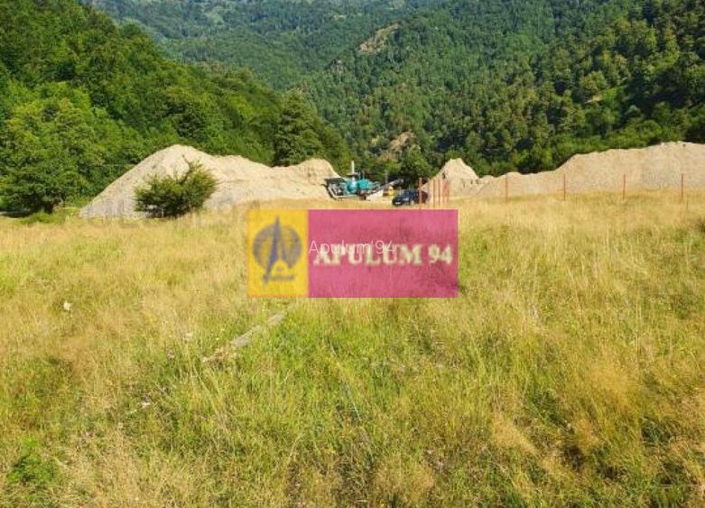 Teren Județul Vâlcea - Brezoi, Valea lui Stan - 9