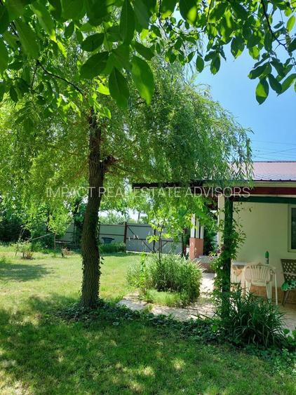 Casa 3 camere Parter Giurgiu Com Bucsani - 5