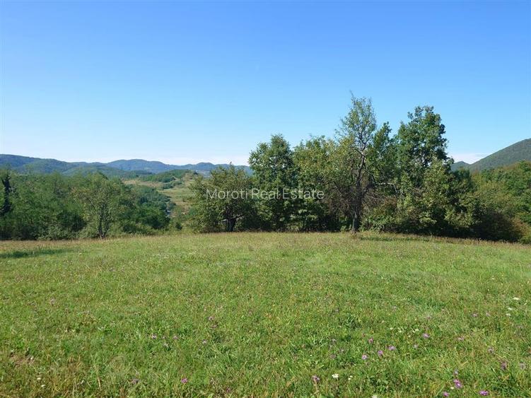 Teren intravilan 8757 mp cu acces direct la E79 - 11