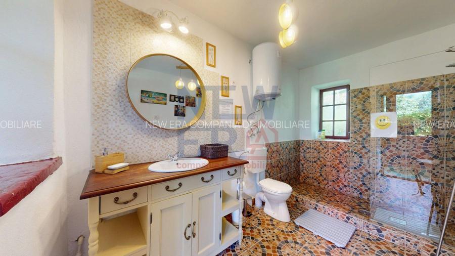 CONACUL GEORGE STEPHANESCU - 13