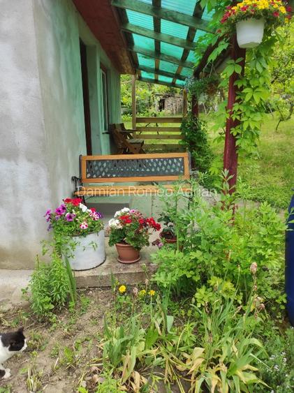Gradina de vanzare cu constructii pe teren. - 12