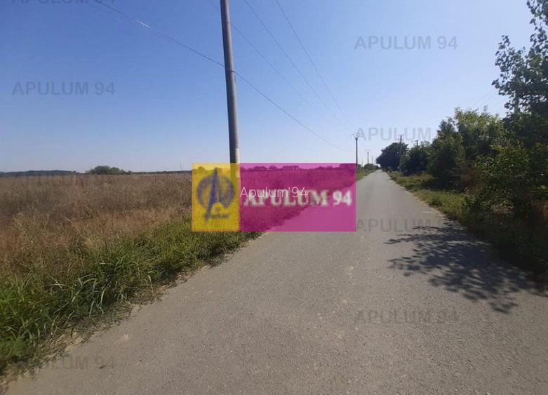 Teren pentru case in 1 Decembrie - 3