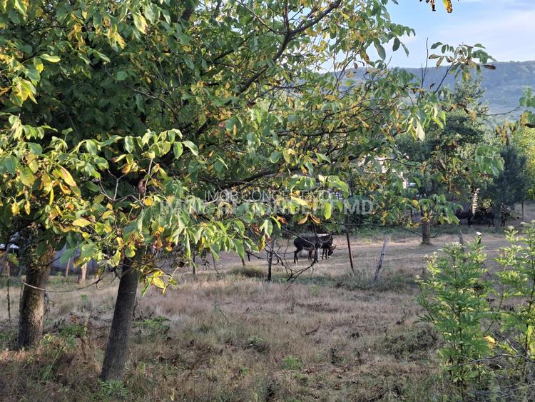 Teren spectaculos cu padure, livada si priveliste panoramica in Soimari PH - 9