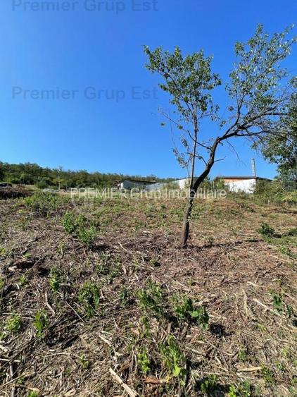 Teren intravilan, Aroneanu, 477mp - 4