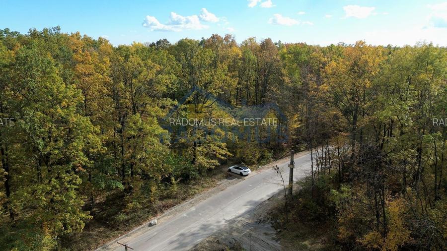TEREN INTRAVILAN ÎN PĂDURE LA VĂRBILA - PRAHOVA – COMISION 0% - 3