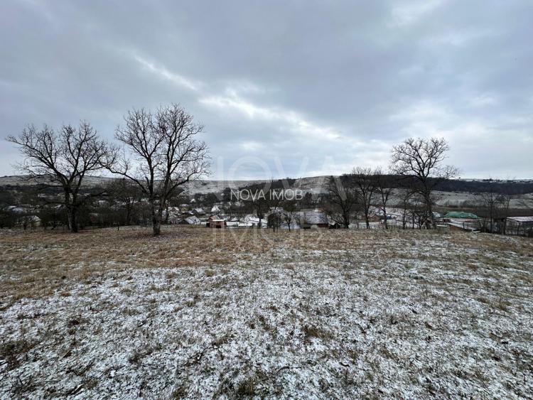 Casa individuala cu teren generos – 8.356 mp – Tichindeal, jud. Sibiu - 11