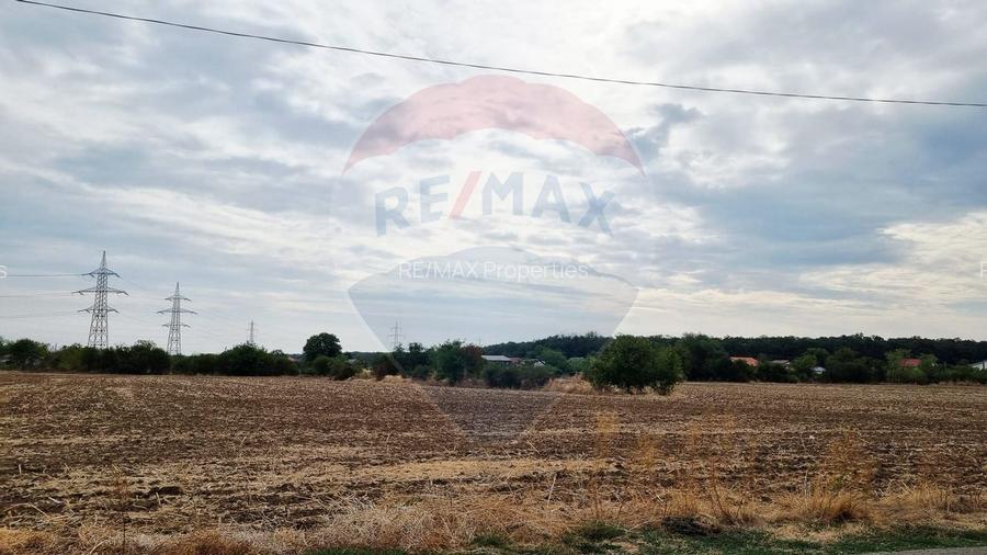 Vanzare Teren Balotesti / Strada Lacul Vlasia - 6