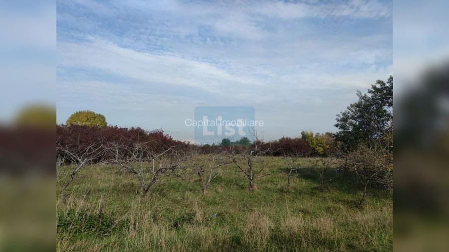 Comision 0%! Teren extravilan 2000mp, front 50m, Wonderland - 2