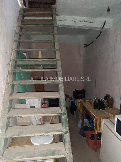 Sanmihaiu Roman 2 case vechi 110000 euro - 12