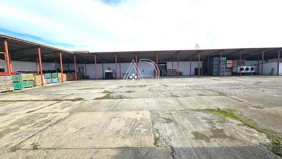 Proprietate industrială de vânzare – Târgu Jiu, Strada Ciocârlău - 6