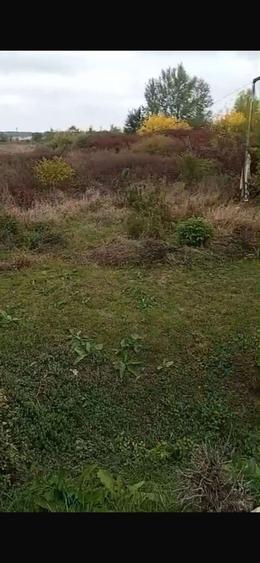 Teren intravilan de vanzare, Calea Lugojului