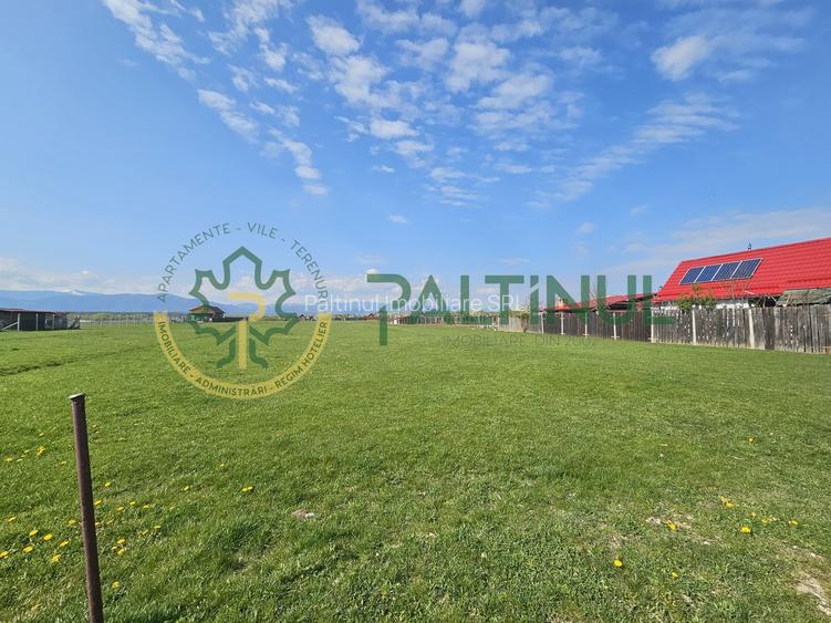 Teren extravilan de vânzare în Șelimbăr – 1.500 mp cu acces din drumul national - 6