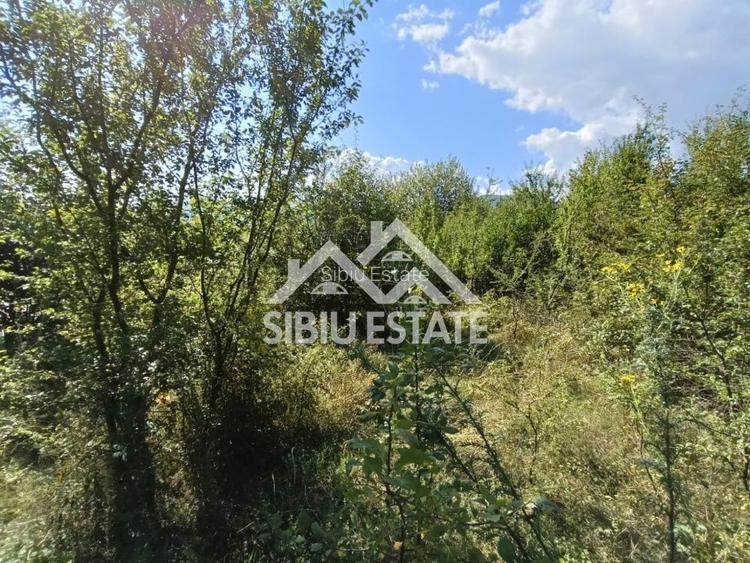Teren  construibil ,la sosea, intre Vale si Sibiel, zona cu potential - 8