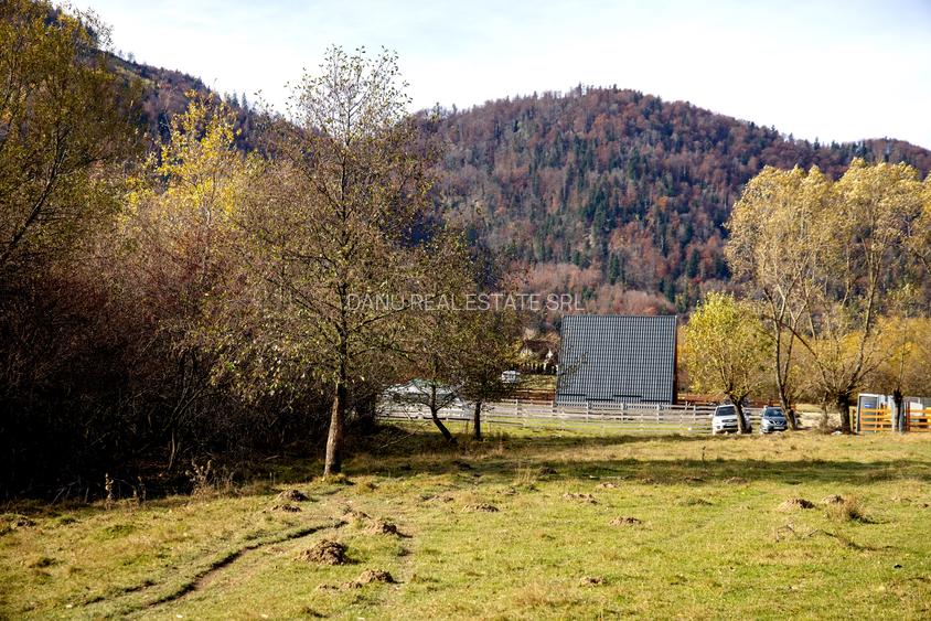 Teren intravilan 2500mp Tohanita Zarnesti- ideal casa de vacanta - 15