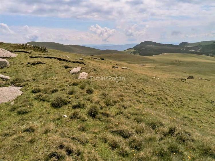 terenuri in Bucegi, Zona Alpina Inalta, pentru dezvoltare cabane, vile turistice - 7