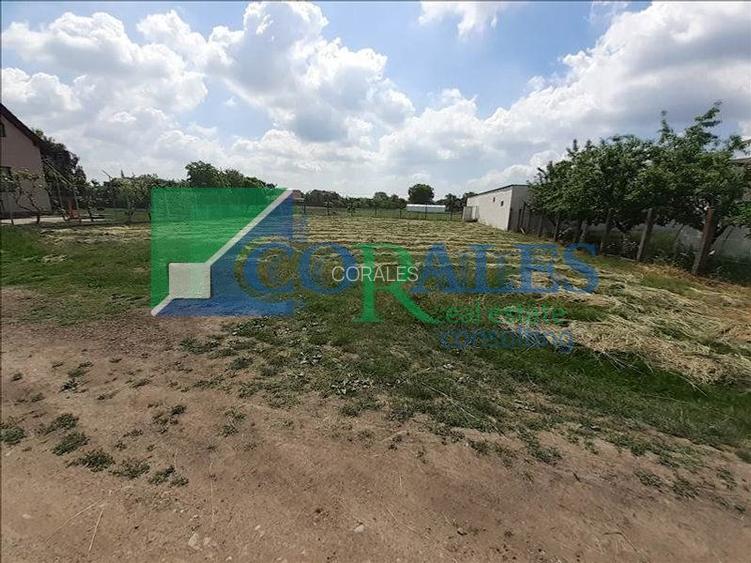 Langa noul stadion Arena Eroilor! - 3