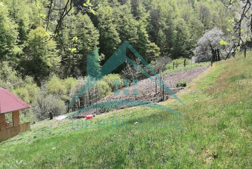 Cabana cocheta de vanzare cu teren generos 3000 mp, Baisoara! - 9
