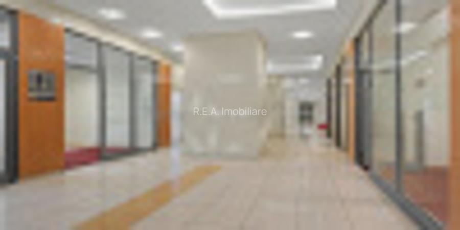 Inchiriere Spatiu Comercial - Sos. Pantelimon 1085 mp - 5