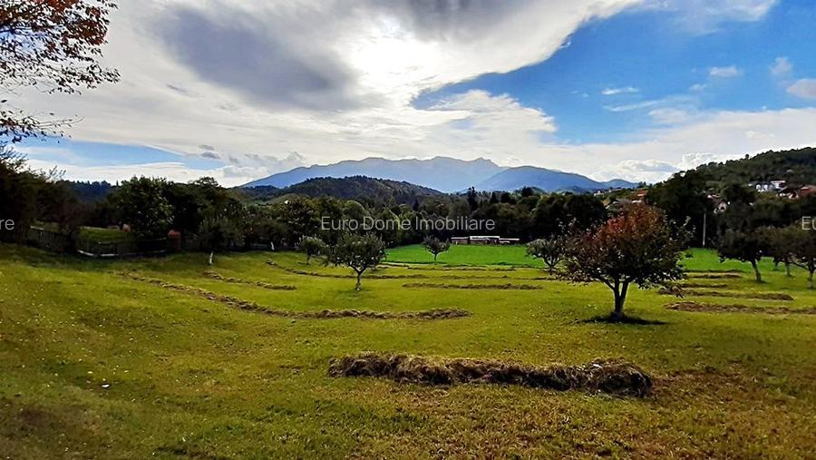 Teren superb de 16240mp, parcelabil, in Bran la intrare in Moeciu de Jos - 19