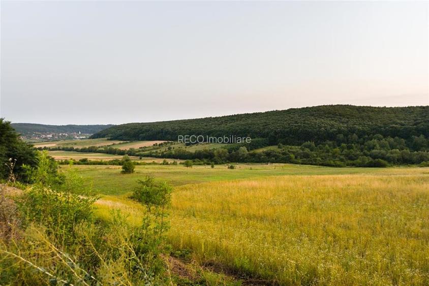 RECO Teren extravilan 11500 mp -Lazareni - 2