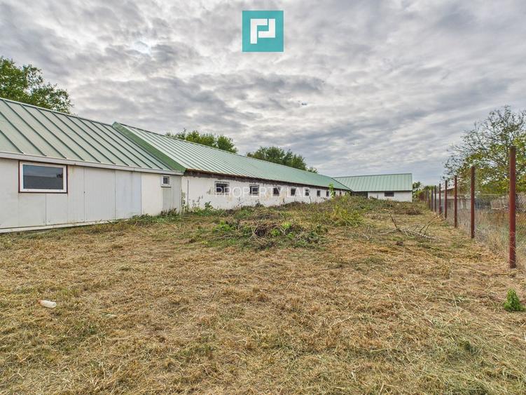 Hală pentru producție / fermă zootehnică  - Variaș - 18