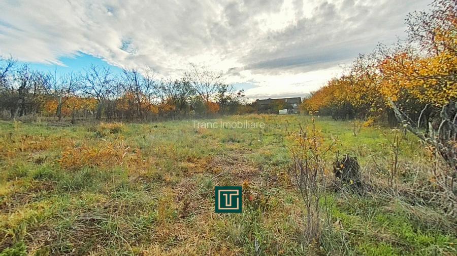 Teren intravilan de vânzare în Aluniș, județul Arad - 4