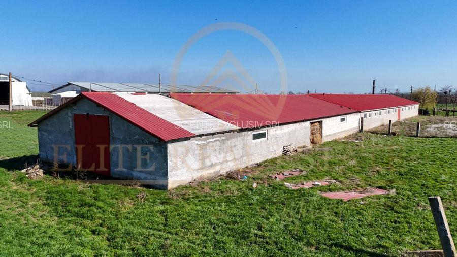 Tariverde - Ferma zootehnica functionala, 3 hectare teren intravilan! - 8